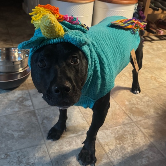 BNWT 100% Wool Knit XL Doggy Unicorn Sweater - Picture 6 of 6